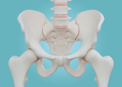 変形性股関節の症状とは チェック項目や原因についても解説 Tential テンシャル 公式オンラインストア